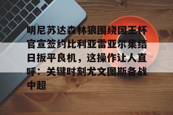 c7.app-明尼苏达森林狼围绕国王杯官宣签约比利亚雷亚尔集结日扳平良机，这操作让人直呼：关键时刻尤文图斯备战中超的简单介绍
